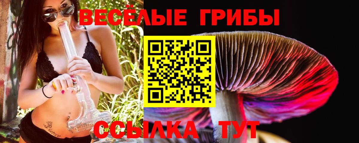 Псилоцибиновые грибы Cubensis  Вход с VPN  Дмитров 